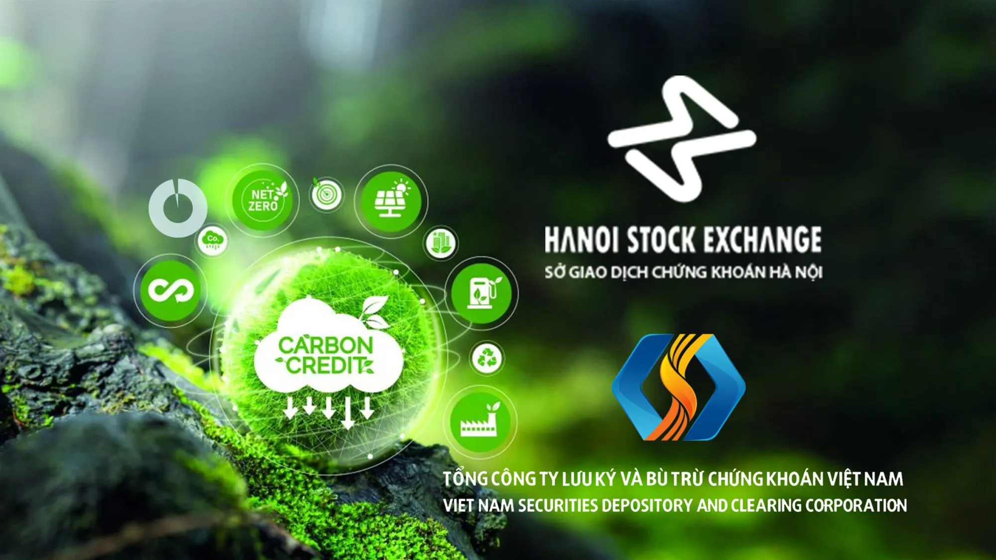 carbon-credit-NHX-VSD-2048x1152