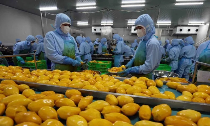 Việt Nam lên ba kịch bản tăng trưởng nông nghiệp để ứng phó thuế Mỹ