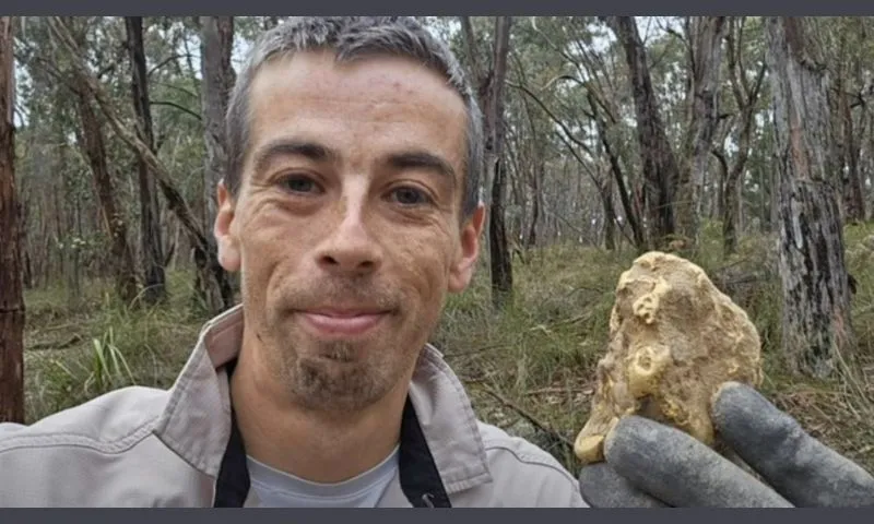 Người đàn ông đào được khối vàng trị giá 2,4 tỉ đồng dưới gốc cây 