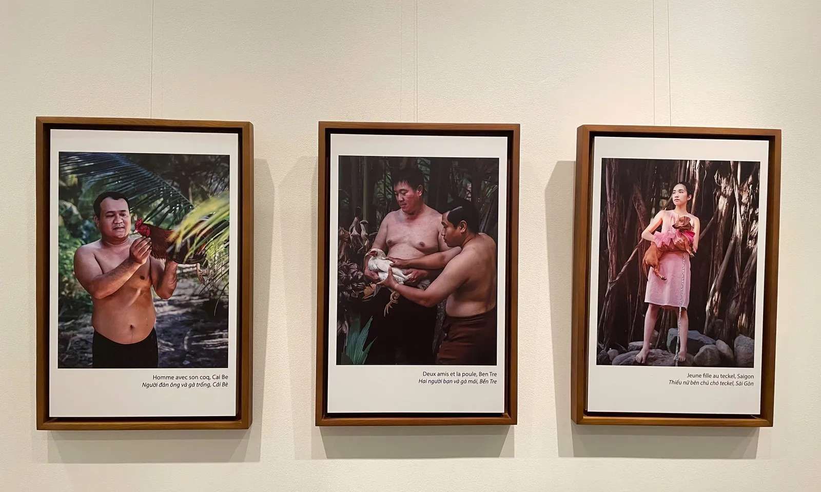 Triển lãm ảnh “Mối giao cảm giữa người và động vật”: Những khoảnh khắc chạm đến trái tim 