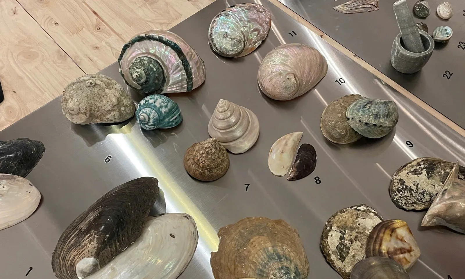 Sức sống mới cho khảm xà cừ Việt Nam