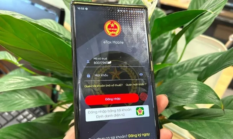 3 điều kiện cần biết để được hoàn thuế thu nhập cá nhân tự động 