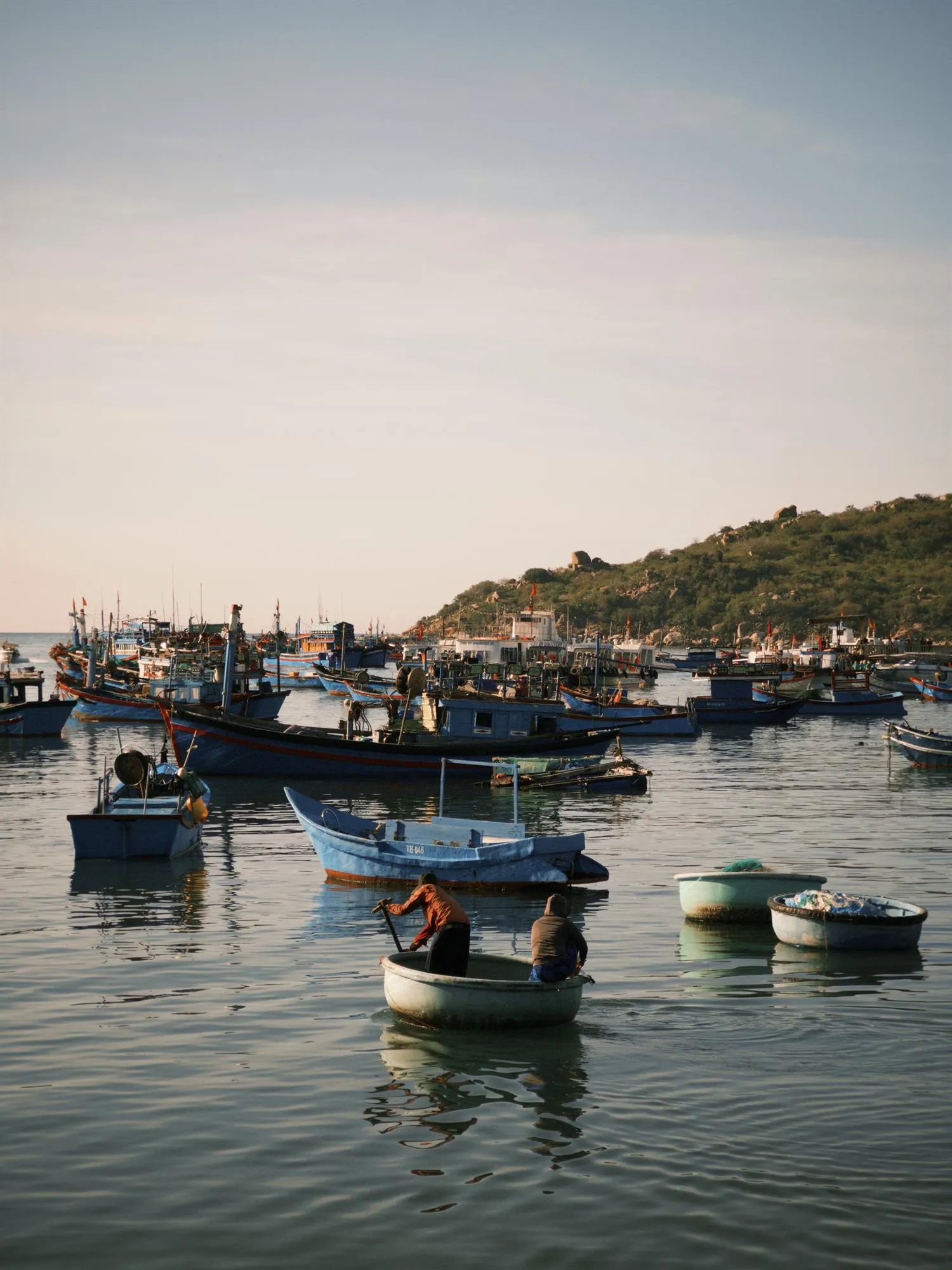 490991117_2403961569976942_4398666208610983921_n