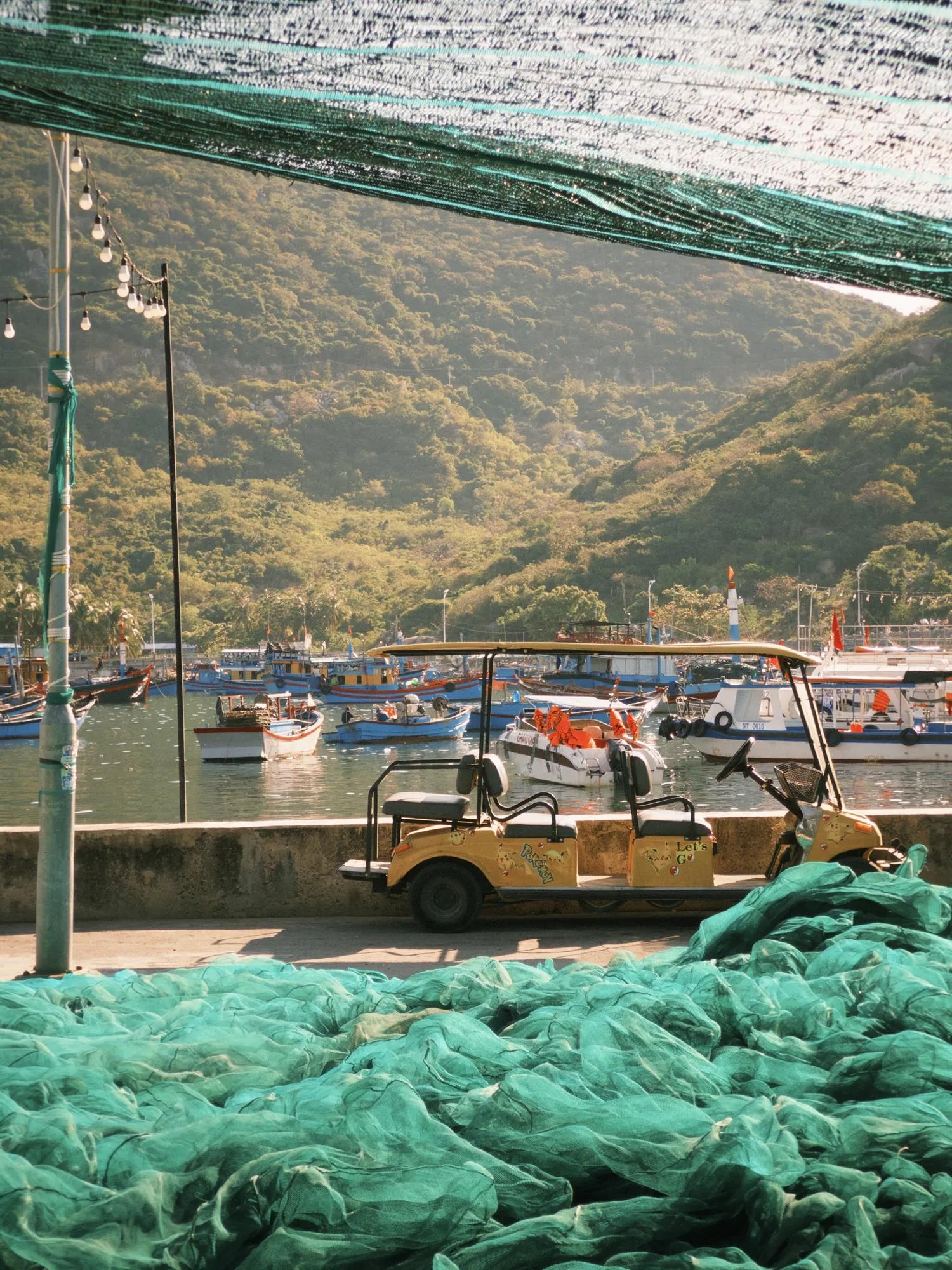 491001572_3833088377002755_8243220343631266981_n