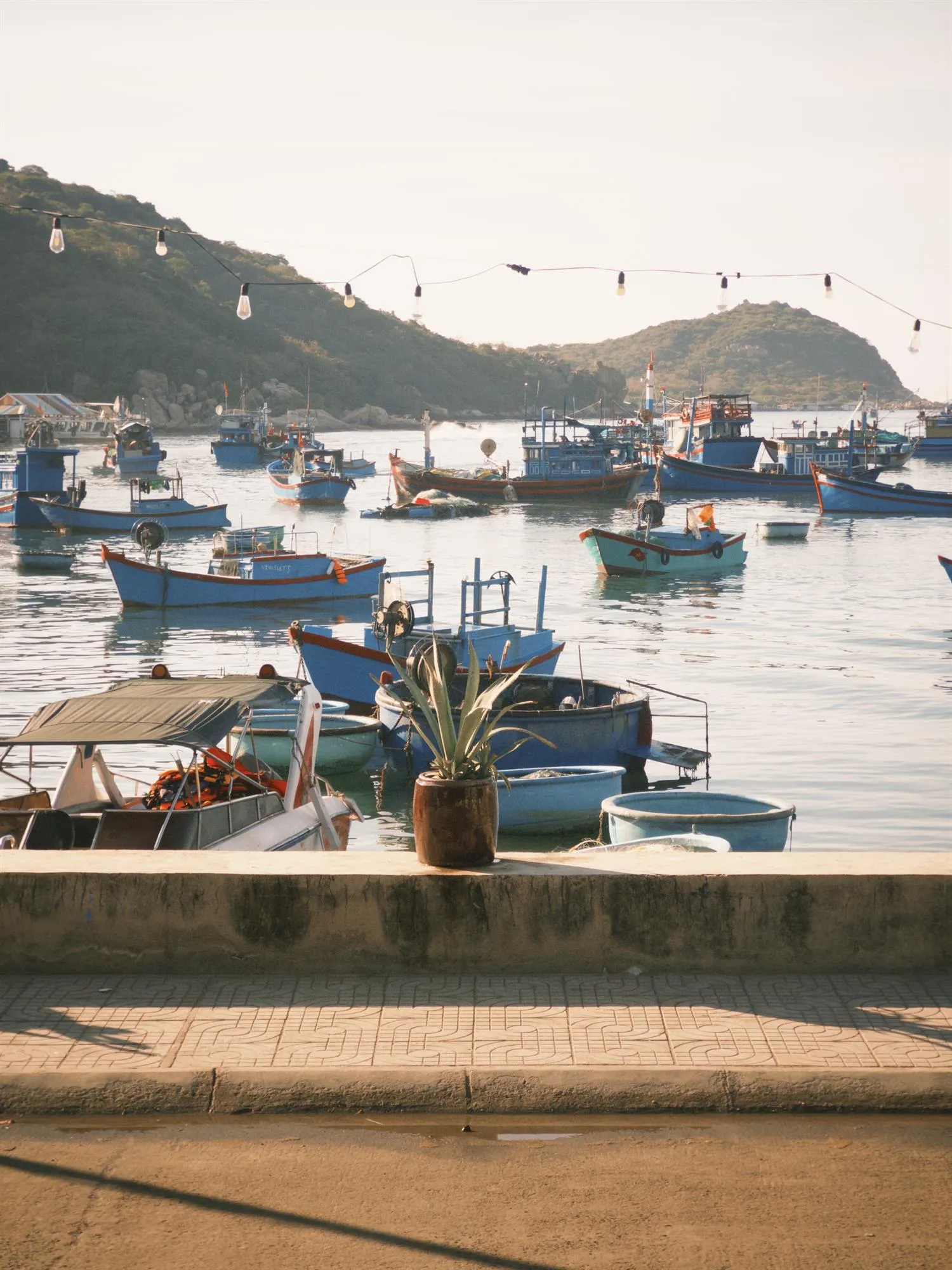 491117526_712296581155432_5992089080917756864_n