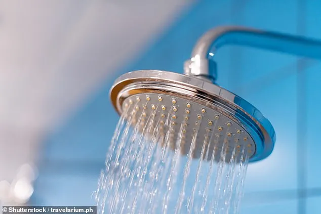 97652665-14644265-image-a-3_1745510813234