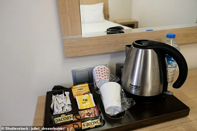 97654223-14644265-image-a-4_1745510821002