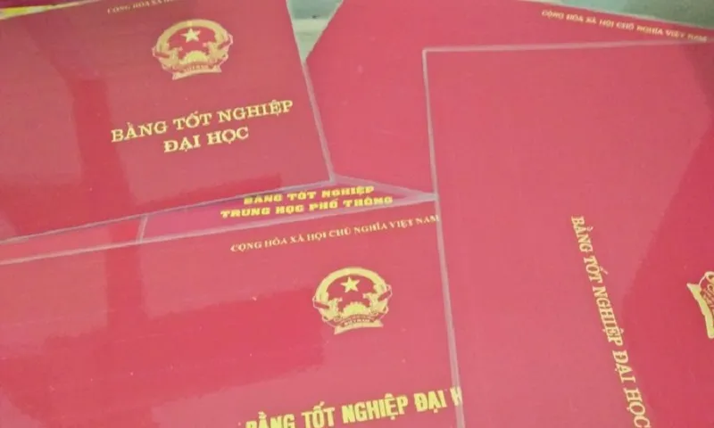 Bắc Giang: Khởi tố hai giáo viên làm giả bằng cấp cho đồng nghiệp