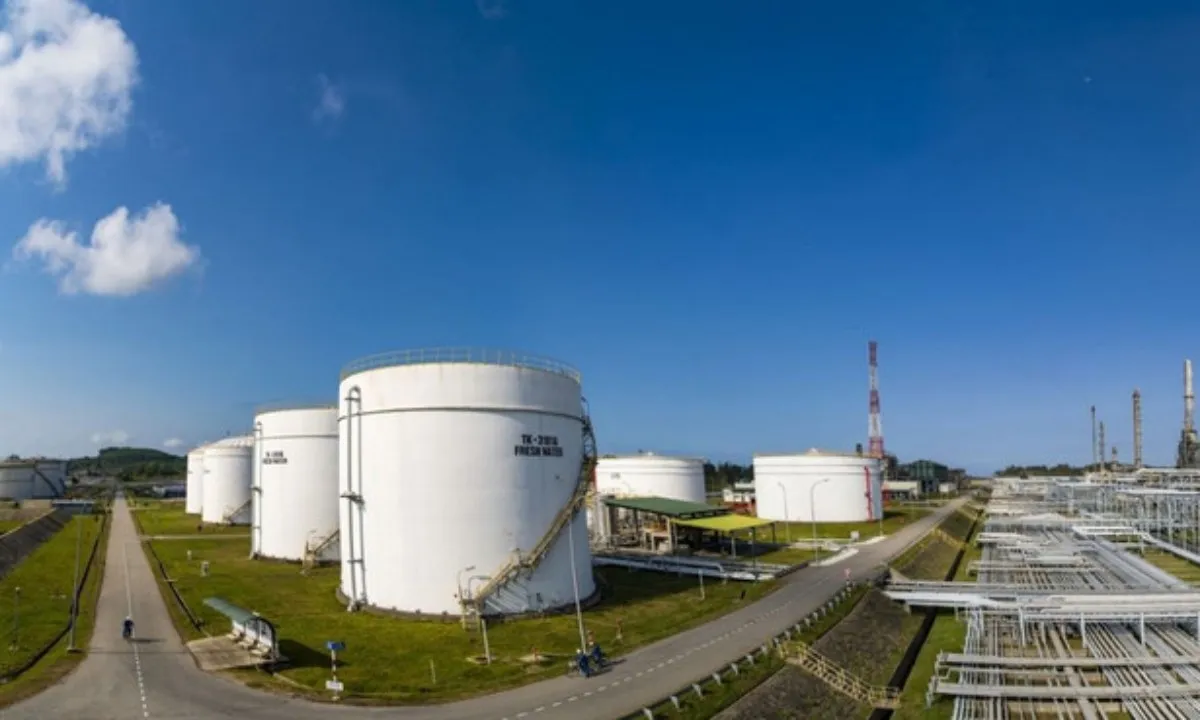 loc-hoa-dau-binh-son