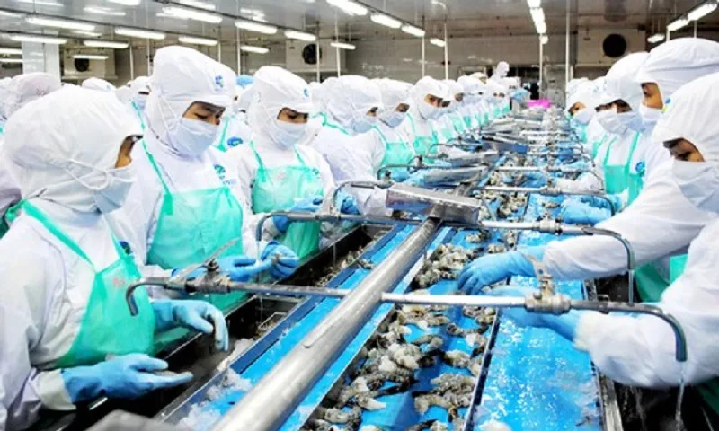 Ngành tôm bứt tốc xuất khẩu nhưng đối mặt áp lực thuế và cạnh tranh