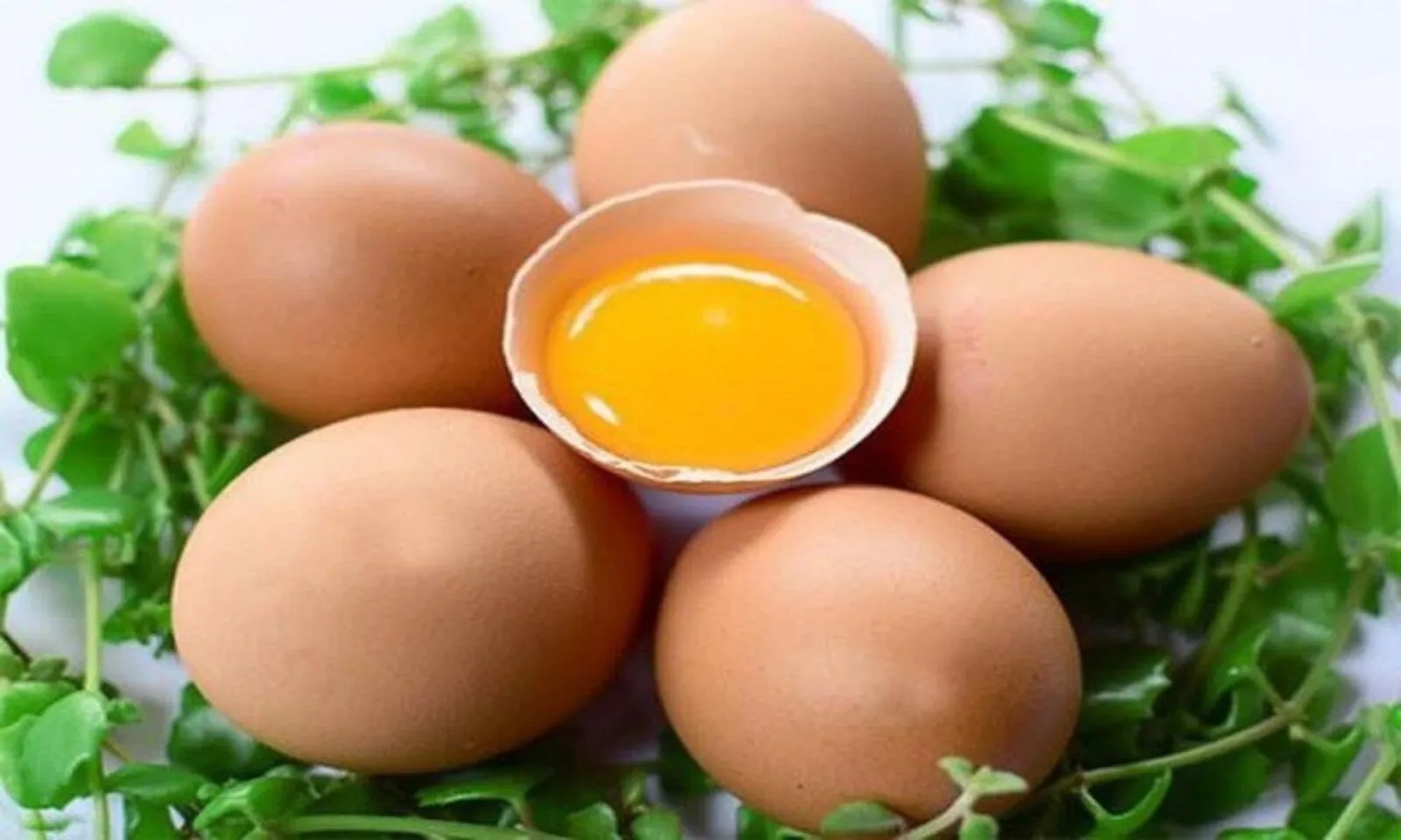Các loại thực phẩm giúp trẻ cao lớn hơn