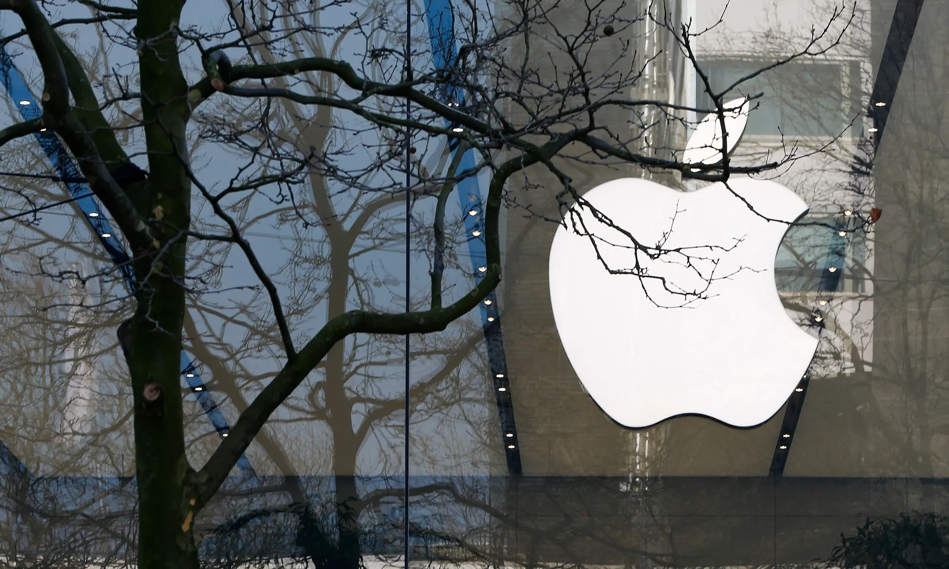 apple-010525