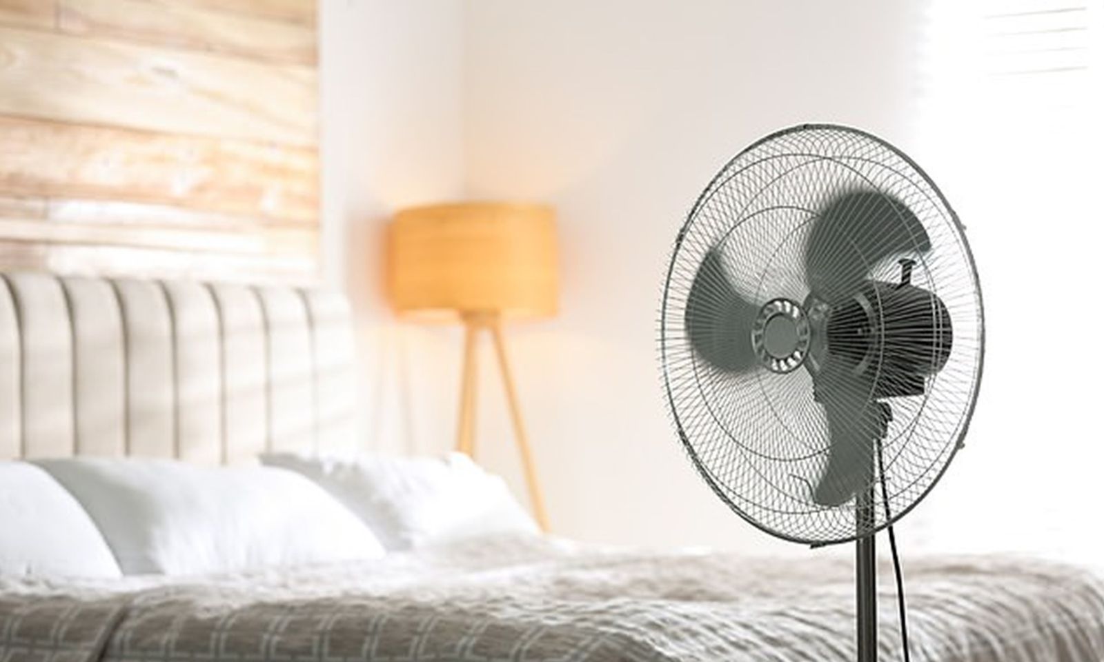Bác sĩ cảnh báo lý do không nên bật quạt suốt đêm khi trời nóng