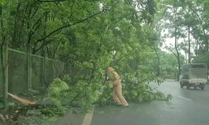 CSGT hỗ trợ xử lý cây gãy trên đường