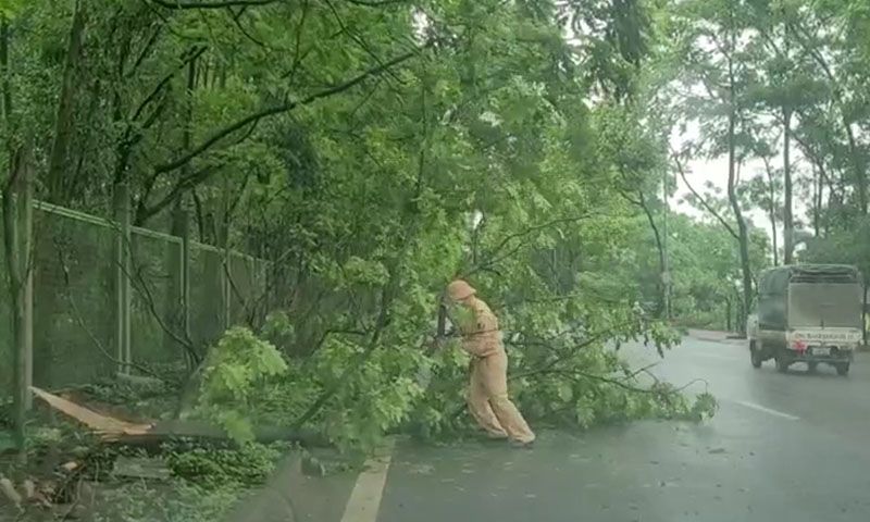 Cảnh sát giao thông hỗ trợ xử lý cây đổ sau mưa giông
