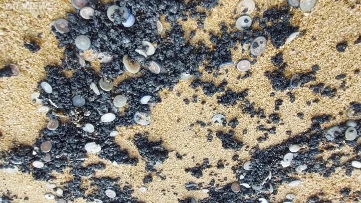 dau3-webp_261680242602