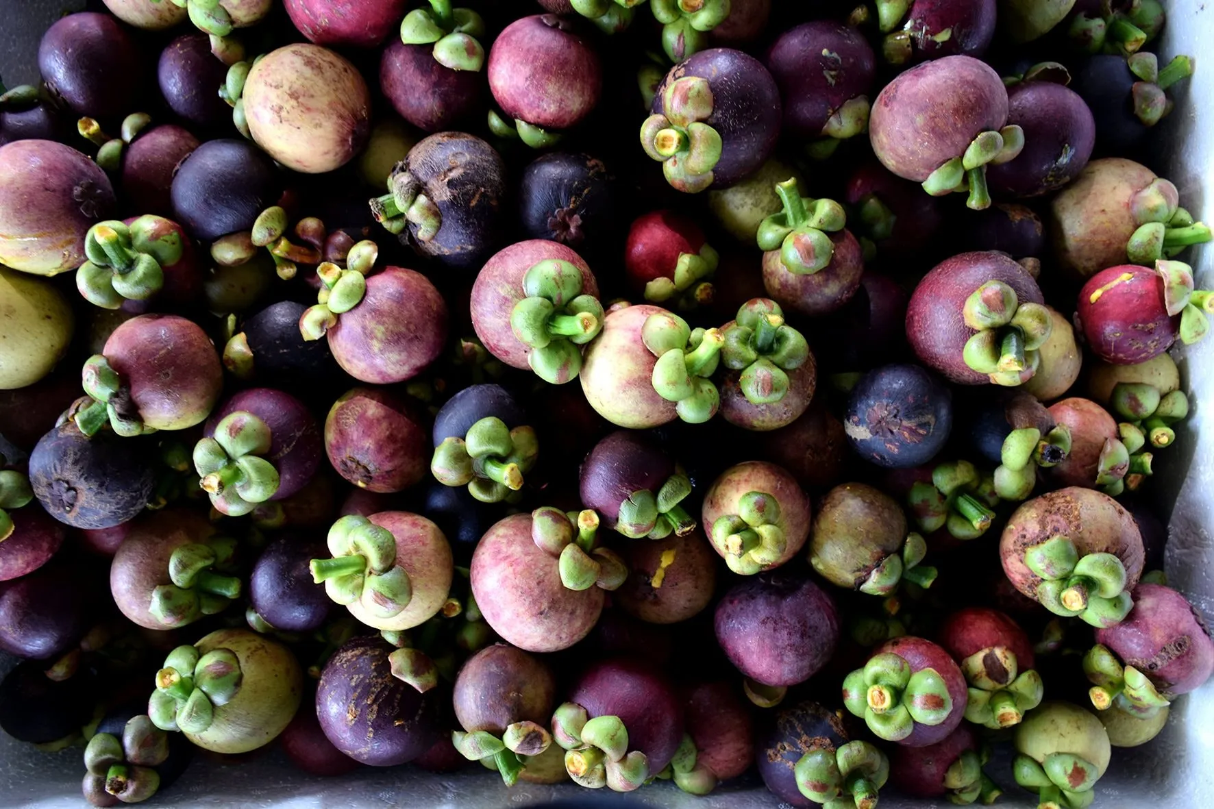 mua-mang-cut-o-ro-mo-da-kai-duc-linh-anh-n.-lan-