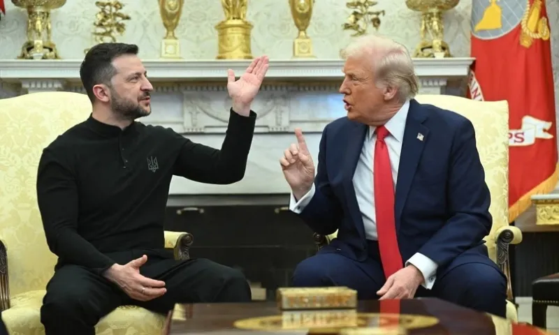 My - Trump