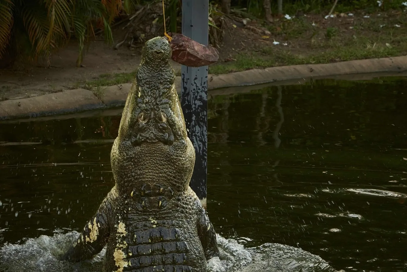 3554-1746148109-1746148235-2174-1746148465