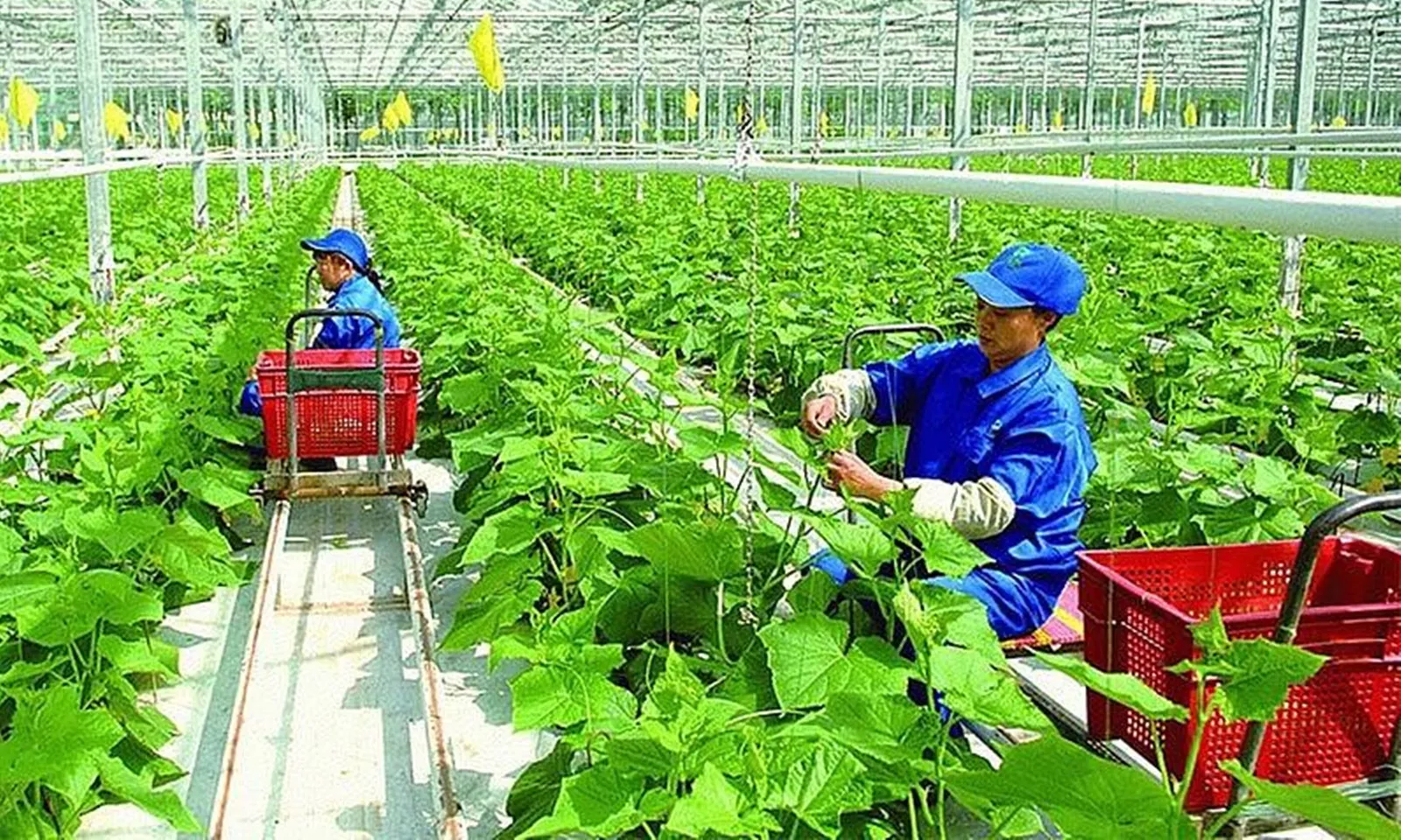 Tin phát triển bền vững 5/5/2025: Gỡ các “nút thắt” thúc đẩy chuyển đổi xanh 