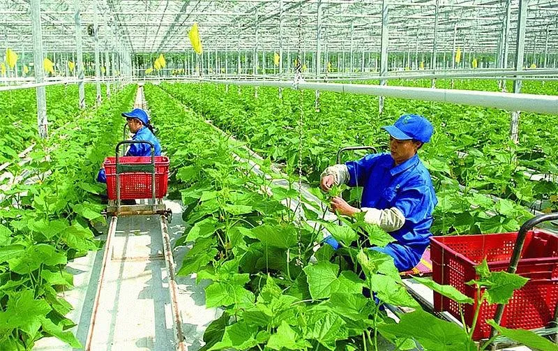 chuyen-doi-xanh-nut-that