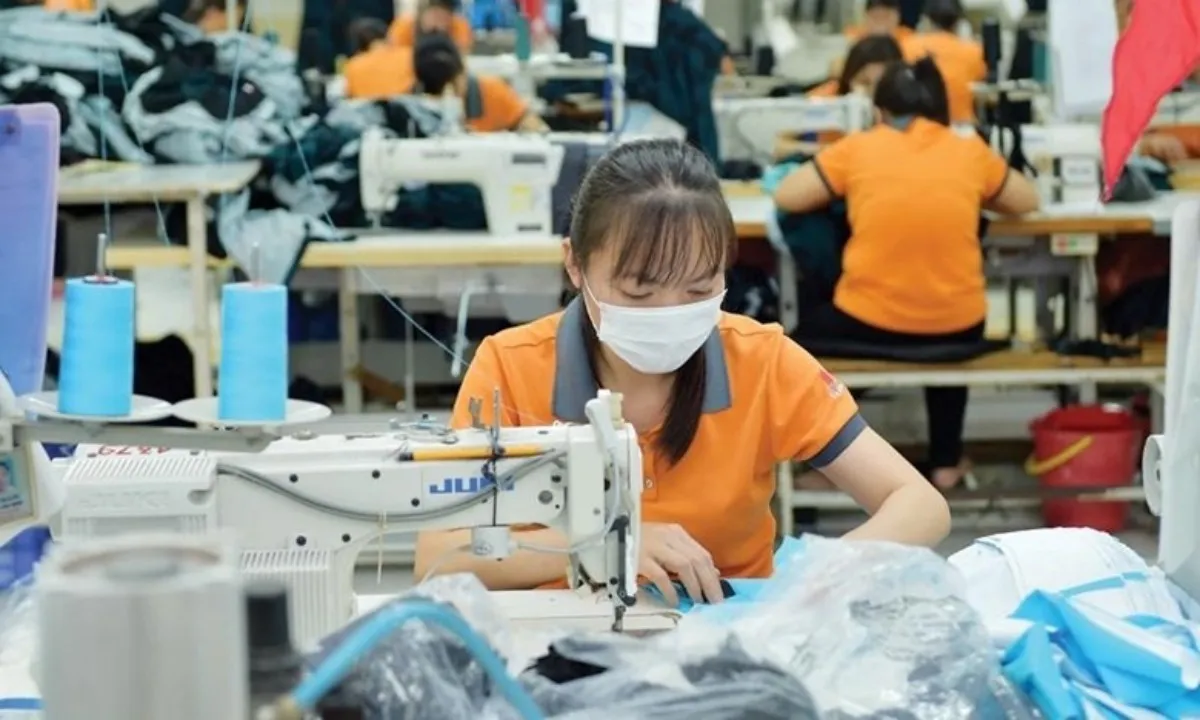 Doanh nghiệp rút lui khỏi thị trường áp đảo số thành lập mới