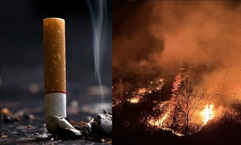 Điểm tin trưa 6/5: Người Việt chi 49.000 tỷ đồng mỗi năm cho thuốc lá | Cảnh báo cháy rừng nhiều nơi