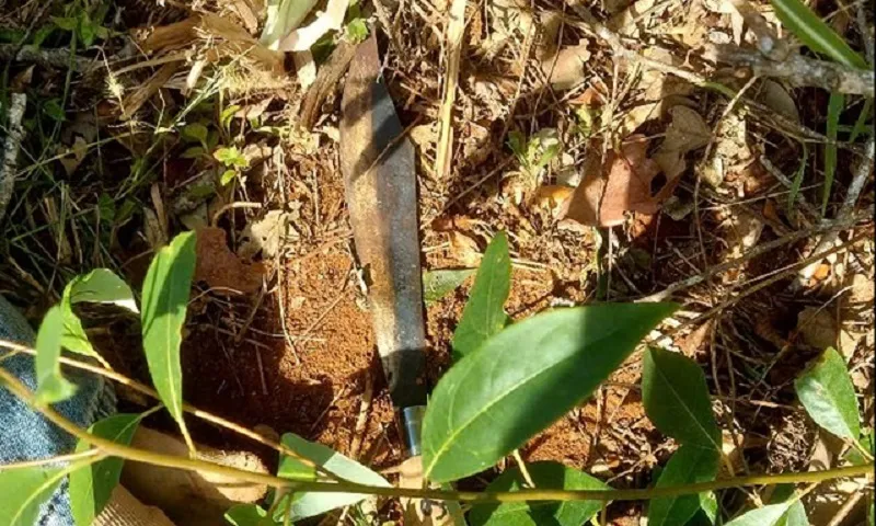 con dao hung khí tang vật giết người bằng dao