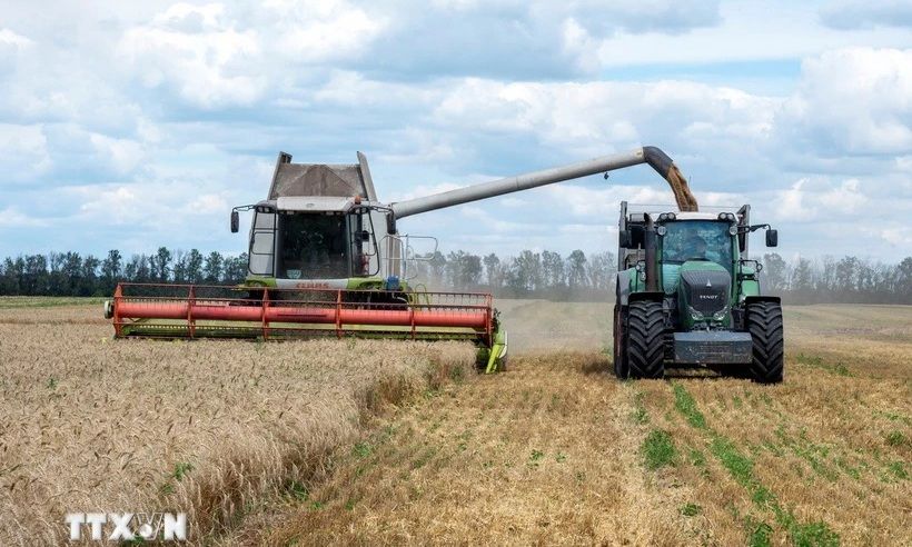 EU không gia hạn miễn thuế cho hàng nhập khẩu từ Ukraine