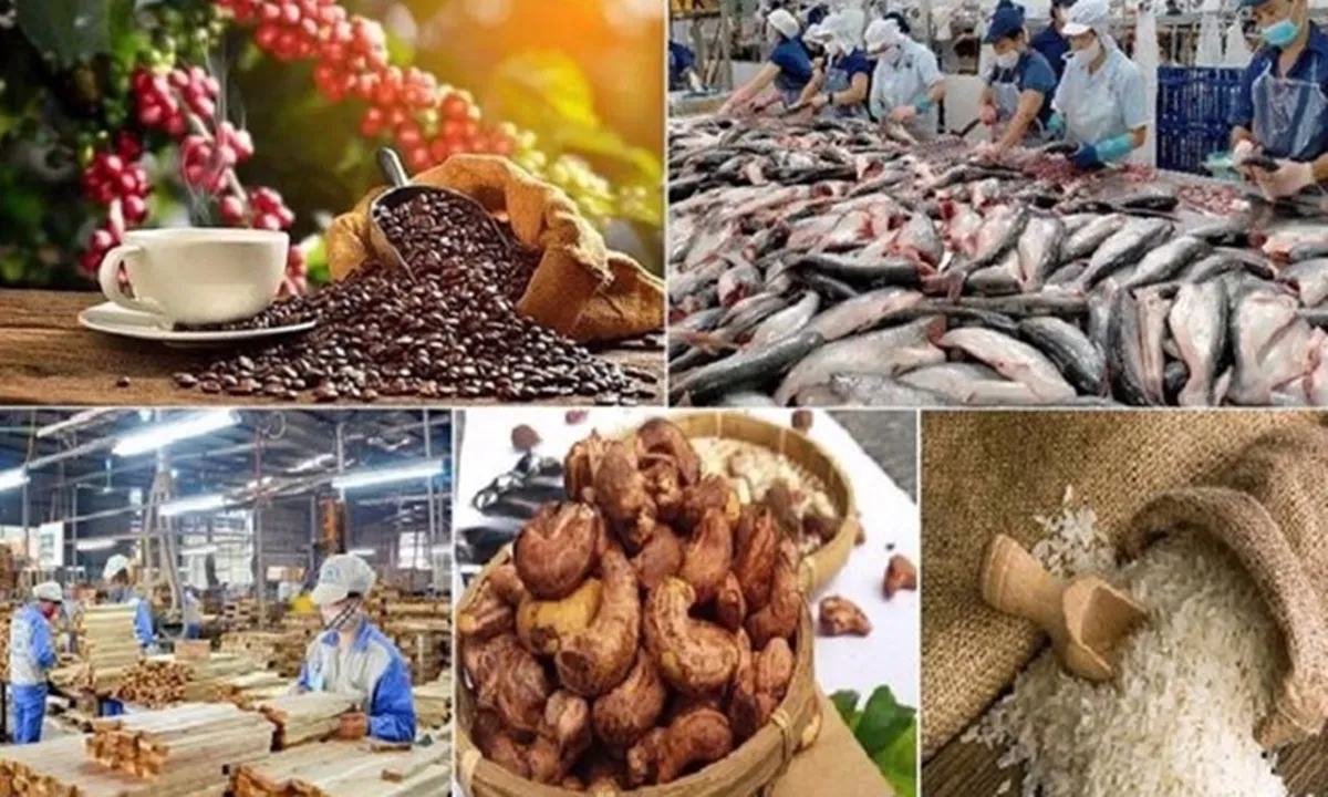 Thủ tướng chỉ đạo thu mua tạm trữ và xử lý gian lận xuất xứ để bảo vệ nông sản Việt