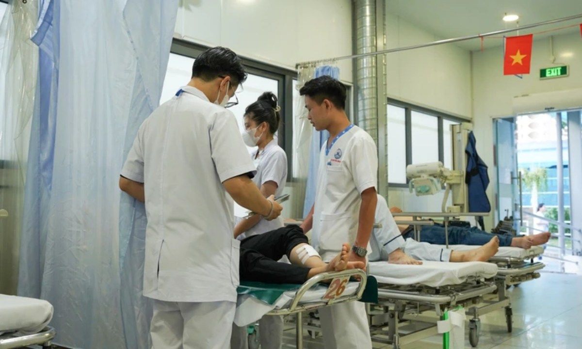 Chó đánh hơi ung thư: Chính xác đến 94%
