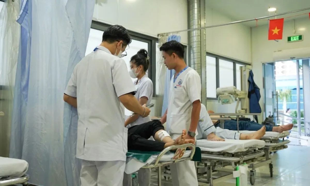 Chó đánh hơi ung thư: Chính xác đến 94%