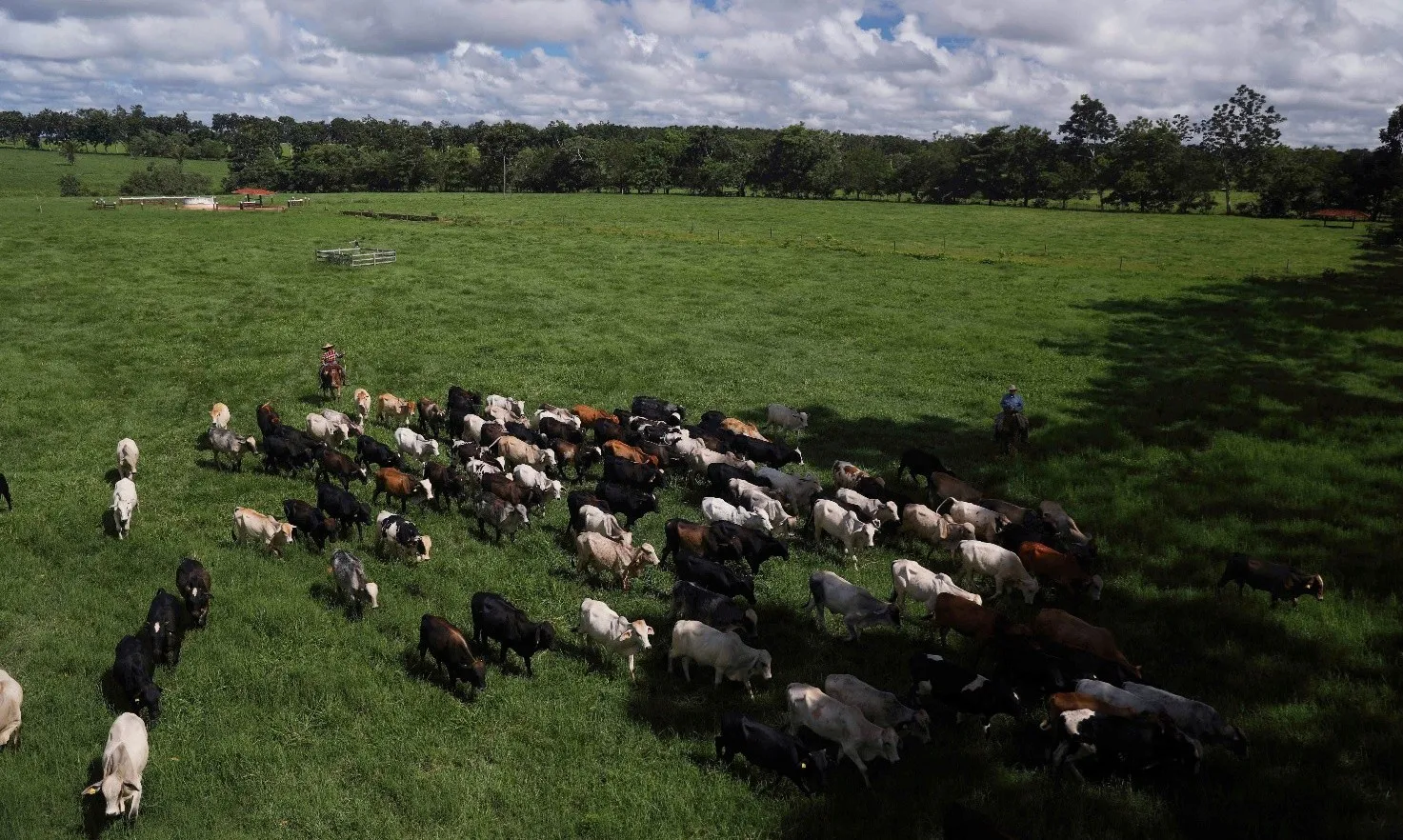 Xuất khẩu thịt bò Brazil sang Mỹ tăng mạnh dù bị áp thuế bổ sung 10%