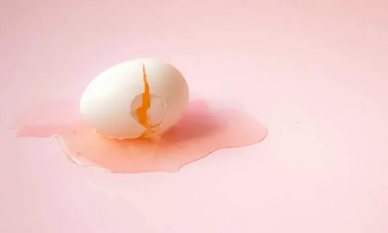 đập trứng vào trán con quay TikTok