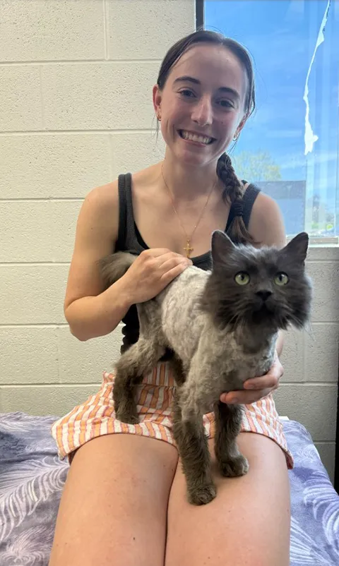 Người phụ nữ và con mèo đi lạc