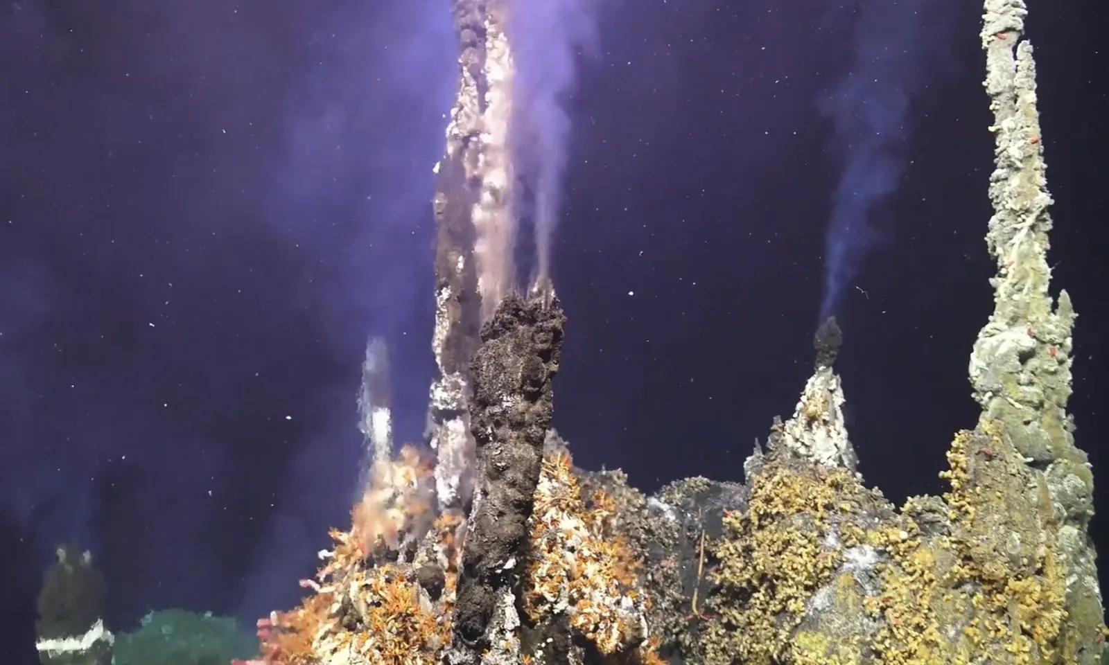 Núi lửa dưới nước rộng 1,6 km sắp phun trào ngoài khơi nước Mỹ