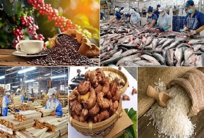 top-6-mat-hang-nong-san-viet-nam-du-kien-xuat-khau-chu-luc-trong-nua-cuoi-2023-768