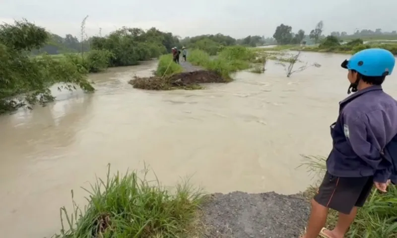 Anh TTXVN - vo bo bao Binh Duong