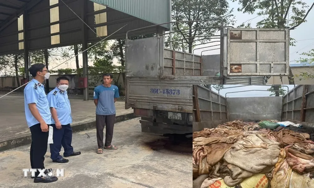 Tiêu hủy gần 5 tấn da trâu bò không rõ nguồn gốc 