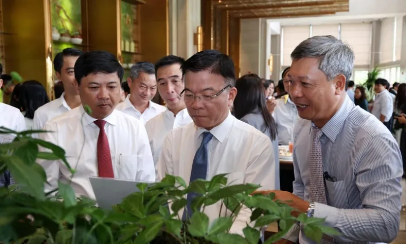 Sam Ngoc Linh 2025