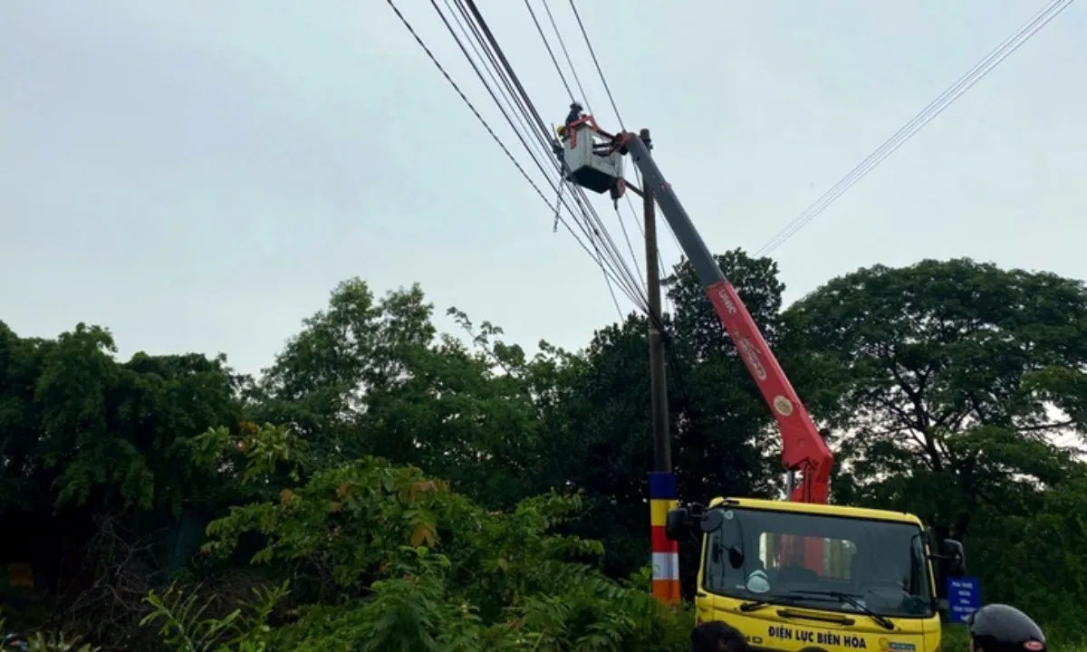 Đồng Nai: Mưa dông gây ngập sâu, cây ngã, mất điện nhiều nơi