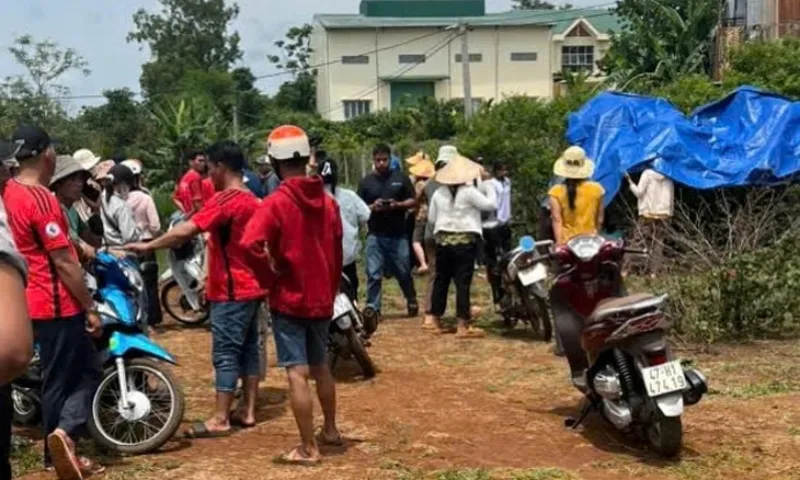 Tai nan duoi nuoc 2024