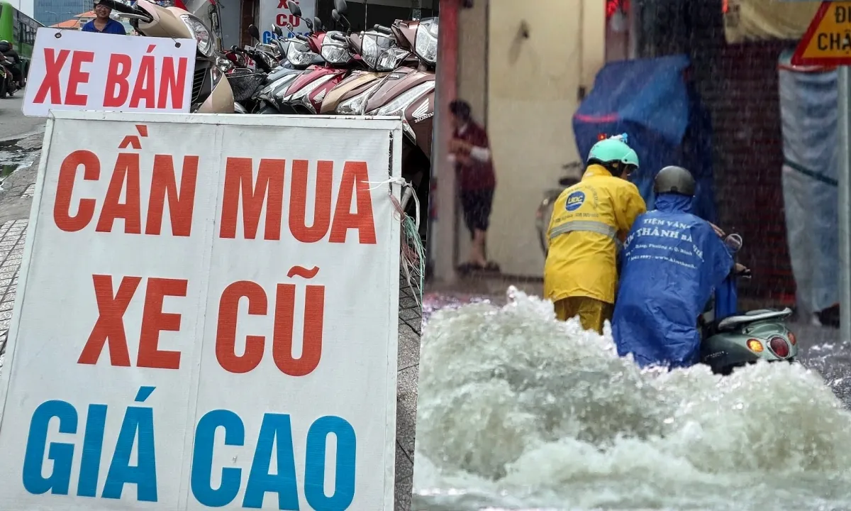 Điểm tin chiều 12/5: Thí điểm giao dịch mua bán xe không phải công chứng | TPHCM sắp mưa to đến 50mm