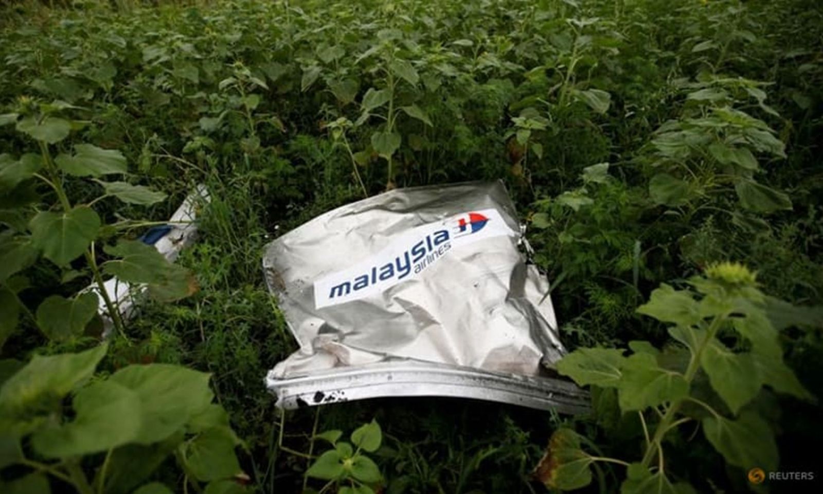 ICAO phán quyết: Nga bắn hạ máy bay MH17 của Malaysia Airlines