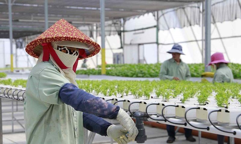 Cảnh báo lừa đảo tuyển lao động đi Israel: Bộ Nội vụ khẳng định chưa cấp phép  