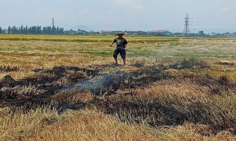 Bị phát hiện đốt rơm rạ, người đàn ông ở Huế bỏ chạy 