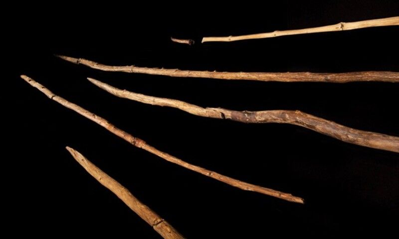 Khám phá mới về ngọn giáo gỗ cổ đại và người Neanderthal