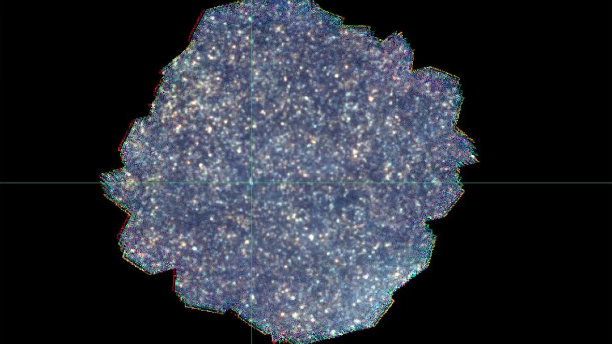 herschel-spire-dark-field-1200x675-17472825975831821901036-1747289877825-17472898781141190992418