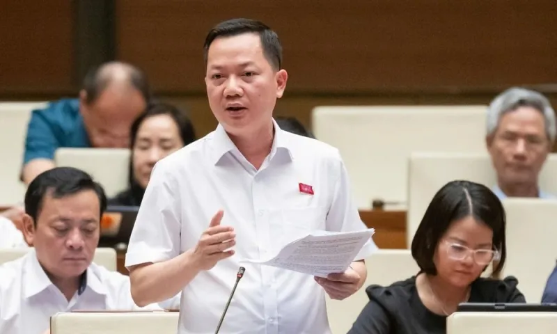 TRinh xuan an 2025
