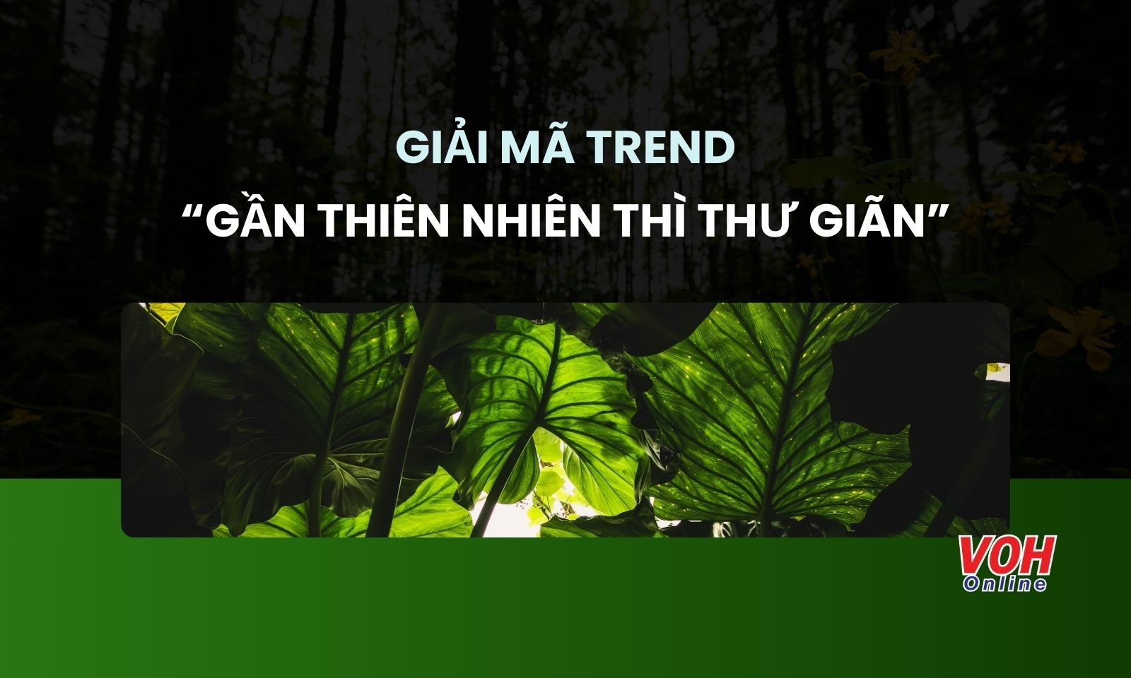 Trend “gần mực thì đen, gần thiên nhiên thì thư giãn” khuấy đảo mạng xã hội